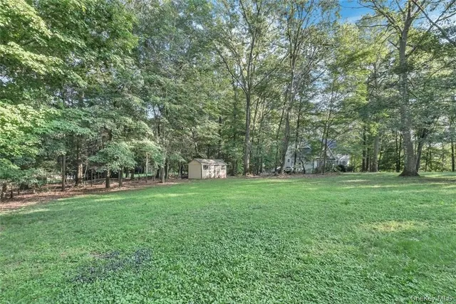 a view of a park with large trees