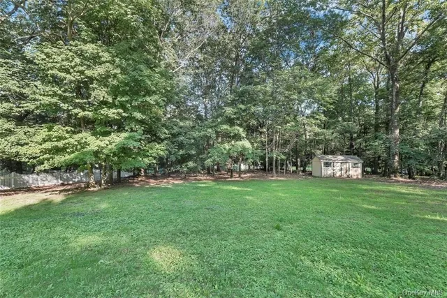 a view of a trees with a big yard