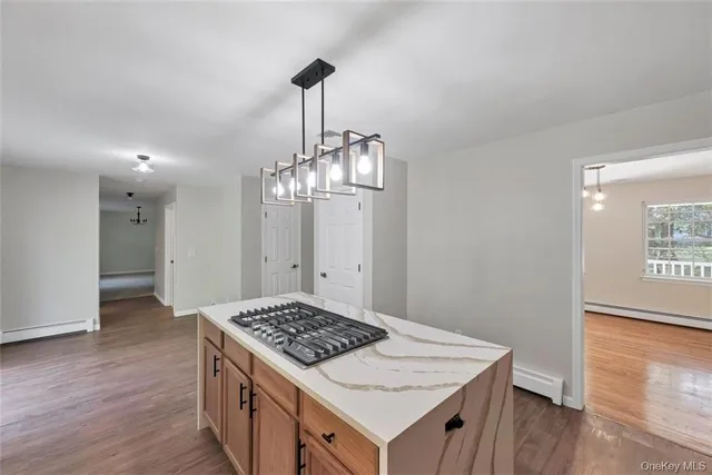a view of kitchen island with wooden floor