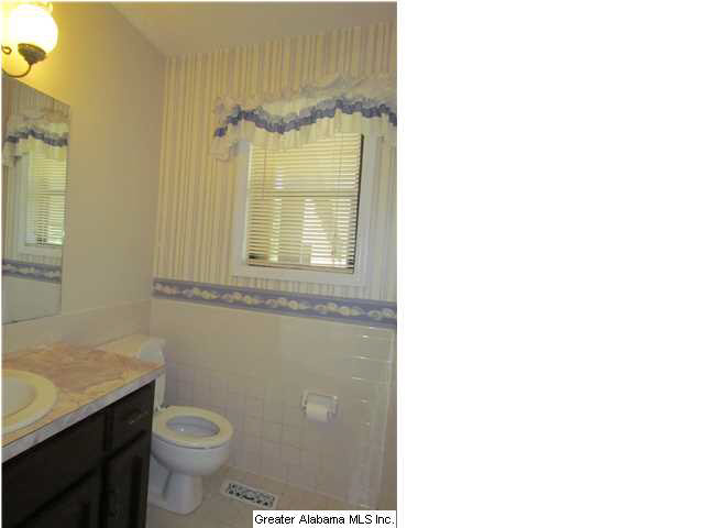 307 Kiowa Road Remlap, AL 35133 - Photo 12 of 20