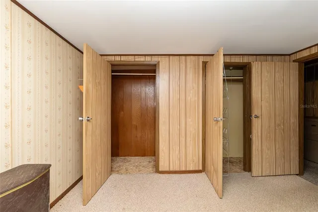 a view of a park with large trees