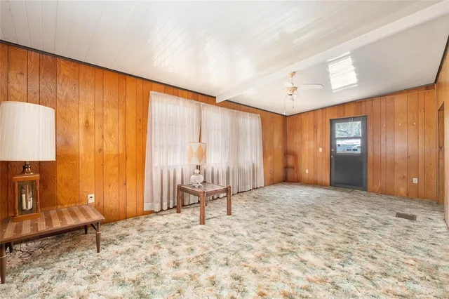 a view of a yard with plants