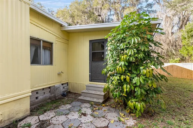 a view of a yard with plants and large trees