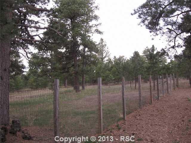 12205 Woodlake Road Elbert, CO 80106 - Photo 7 of 22 Corral