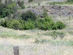3142 Miles Road Rice, WA 99167 - Photo 14 of 16