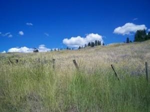 3142 Miles Road Rice, WA 99167 - Photo 8 of 16