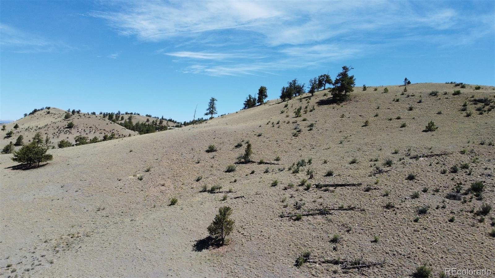 Hardwood Loop Hartsel, CO 80449 - Photo 12 of 38