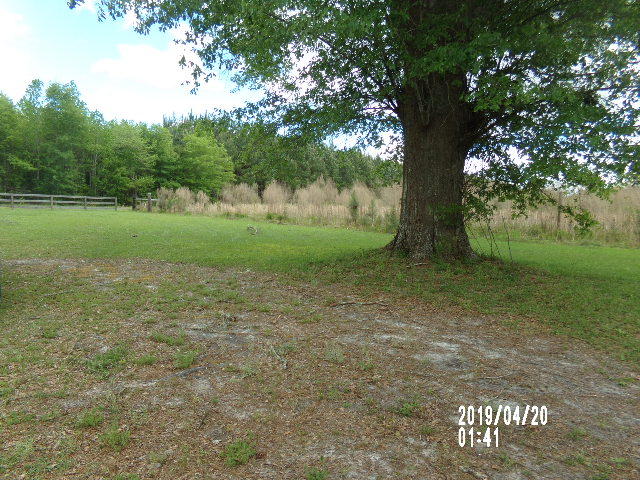 2501 Burlington Road Walterboro, SC 29488 - Photo 3 of 12 010