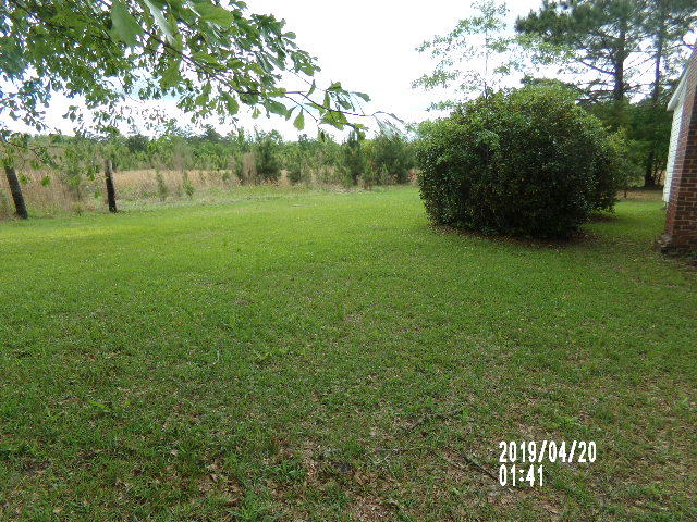 2501 Burlington Road Walterboro, SC 29488 - Photo 4 of 12 013