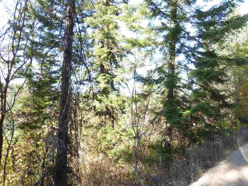 0 East Webster Road Spokane, WA 99217 - Photo 4 of 10