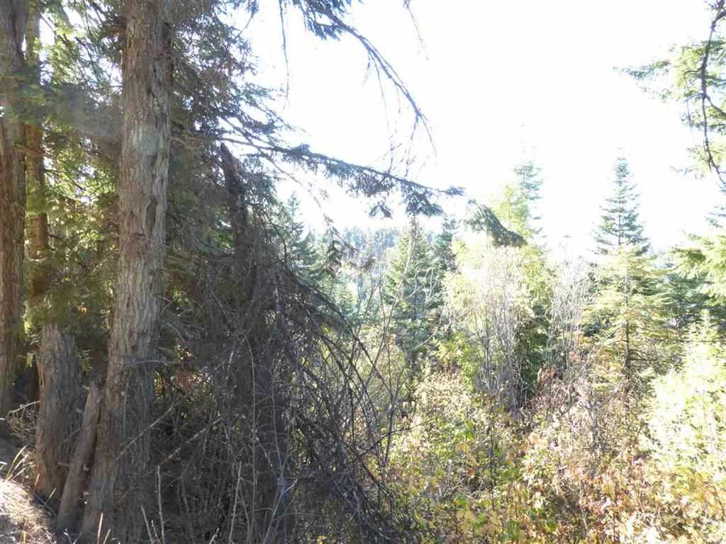 0 East Webster Road Spokane, WA 99217 - Photo 5 of 10
