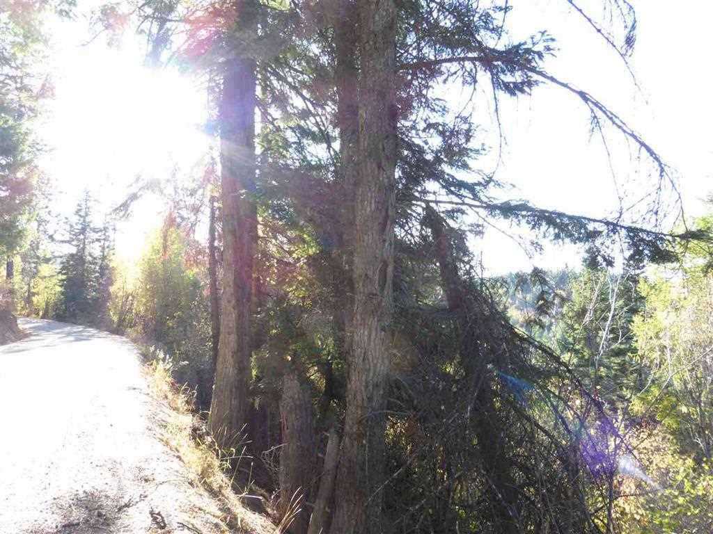0 East Webster Road Spokane, WA 99217 - Photo 6 of 10