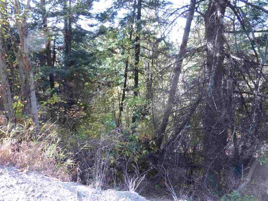 0 East Webster Road Spokane, WA 99217 - Photo 8 of 10
