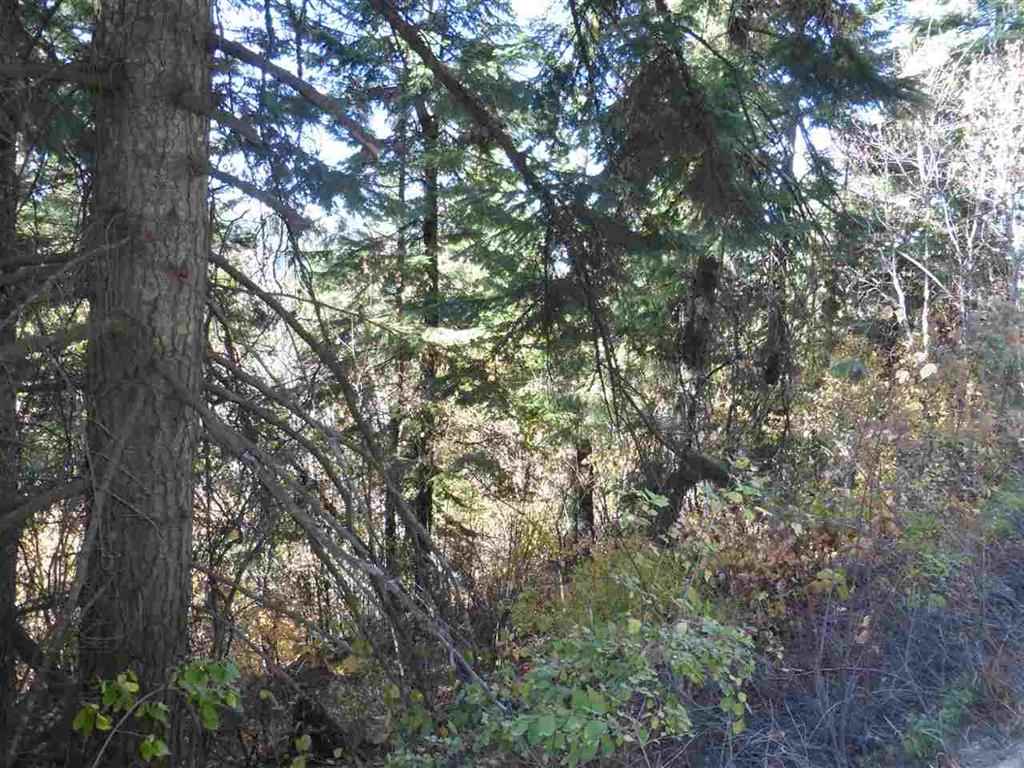 0 East Webster Road Spokane, WA 99217 - Photo 9 of 10