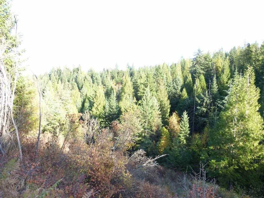 0 East Webster Road Spokane, WA 99217 - Photo 10 of 10