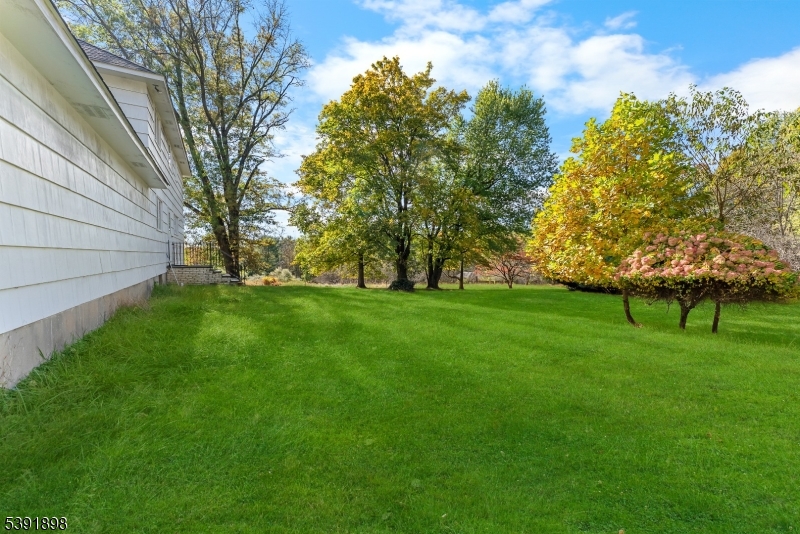 59 Cherryville Stanton Road Flemington, NJ 08822 - Photo 7 of 31 a view of green field with tree in the background