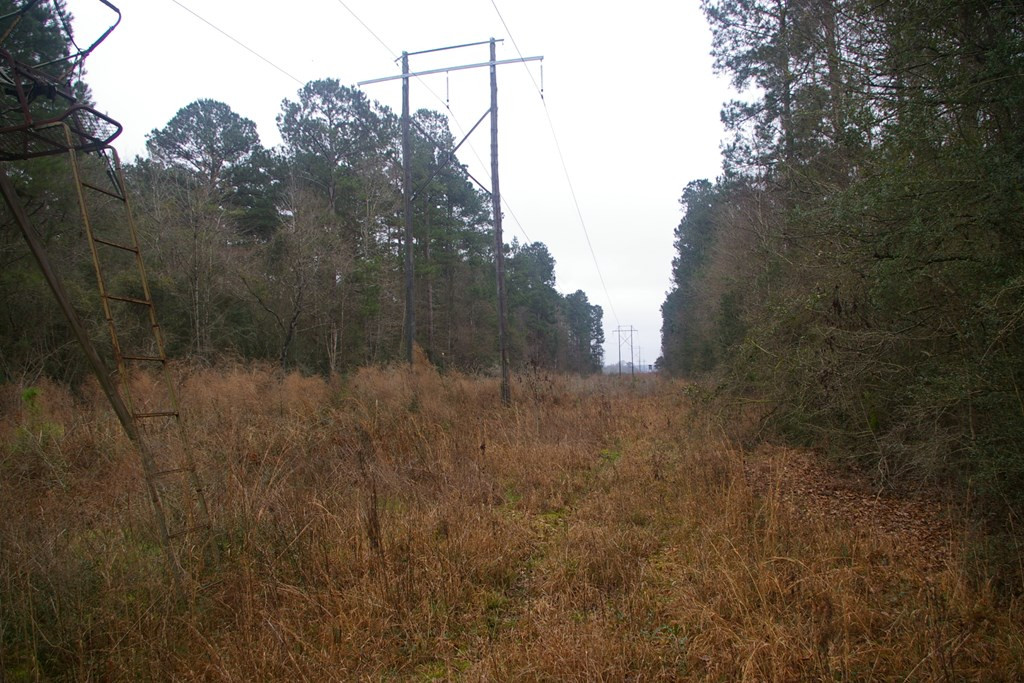 Xxx Lem Stewart Road Tylertown, MS 39667 - Photo 16 of 35 Photo 16
