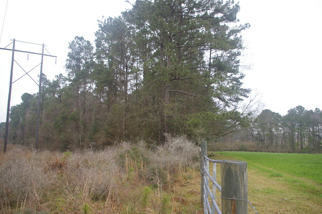 Xxx Lem Stewart Road Tylertown, MS 39667 - Photo 23 of 35 Photo 23