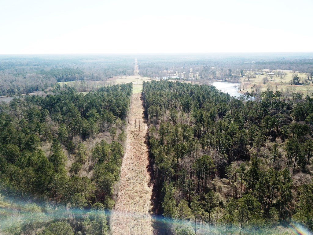 Xxx Lem Stewart Road Tylertown, MS 39667 - Photo 29 of 35 Photo 29