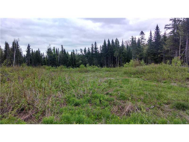 Lot 1 Town Road Springfield, ME 04487 - Photo 4 of 5 Land/Lot.