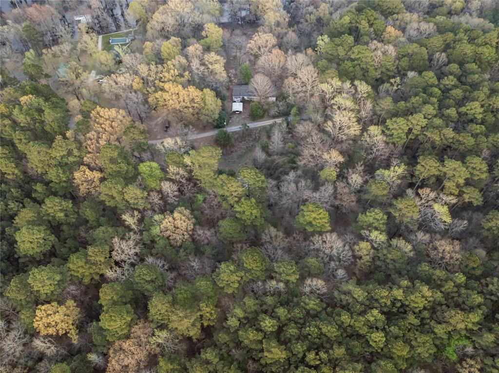 1010 Moore Road Elm Grove, LA 71051 - Photo 3 of 5