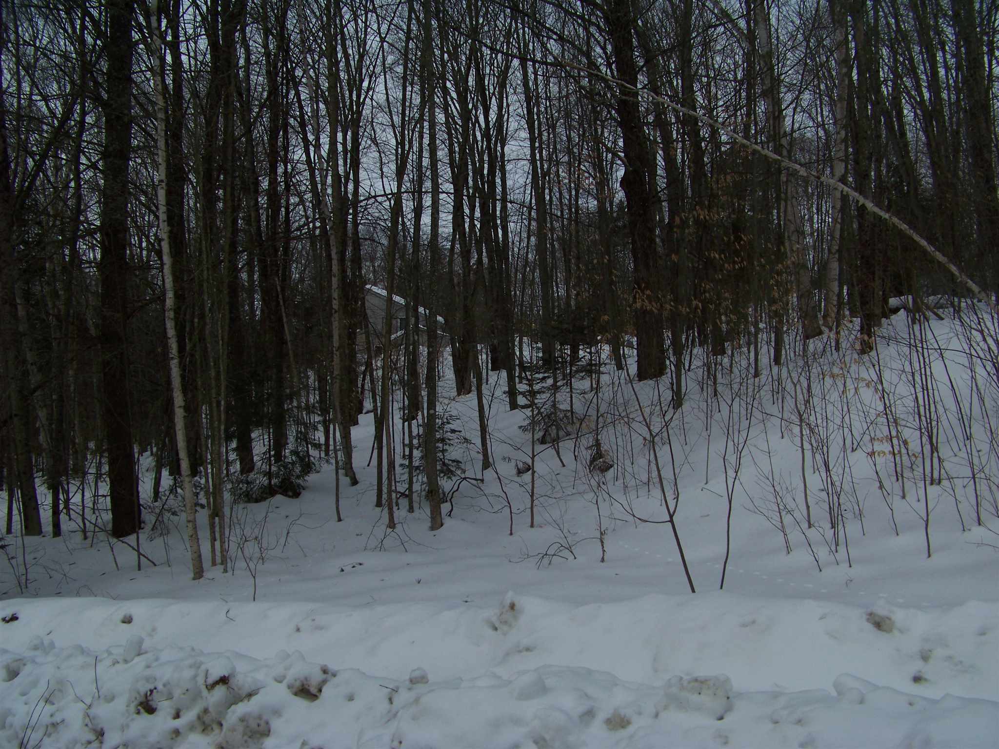 513 Mt View Loop Rochester, VT 05767 - Photo 22 of 29 Gallery Image 22