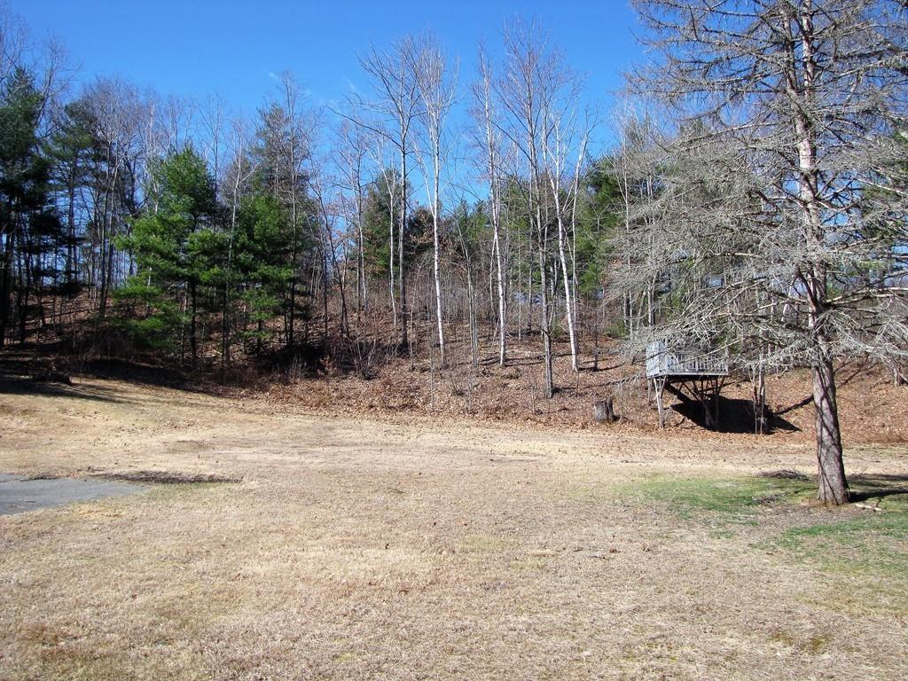1400 Brimfield Road Warren, MA 01010 - Photo 4 of 17 a view of a backyard with large trees