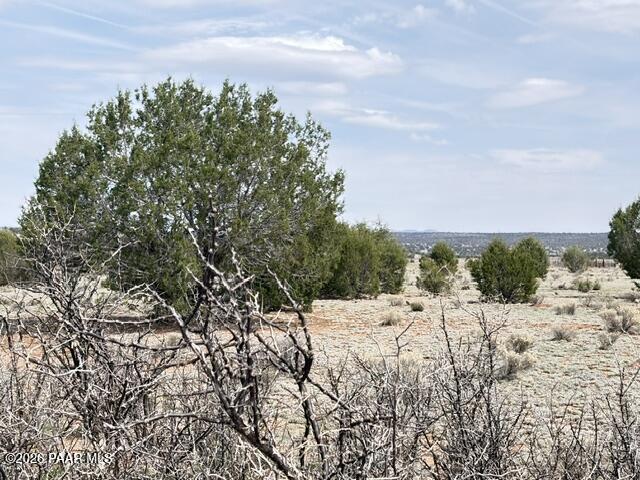 595 Ravens Rest Seligman, AZ 86337 - Photo 19 of 22 a view of a snow in the middle of a field