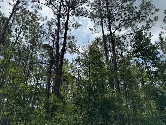 $110,000 | Havana Road, Clermont, FL 34714