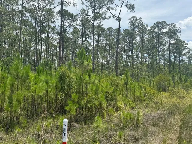 $110,000 | Havana Road, Clermont, FL 34714