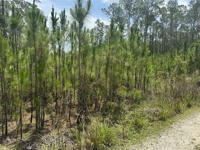 $110,000 | Havana Road, Clermont, FL 34714