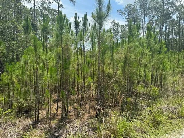 $110,000 | Havana Road, Clermont, FL 34714