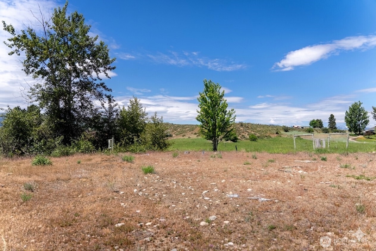 567 Twisp-Winthrop Eastside Road Winthrop, WA 98862 - Photo 2 of 33