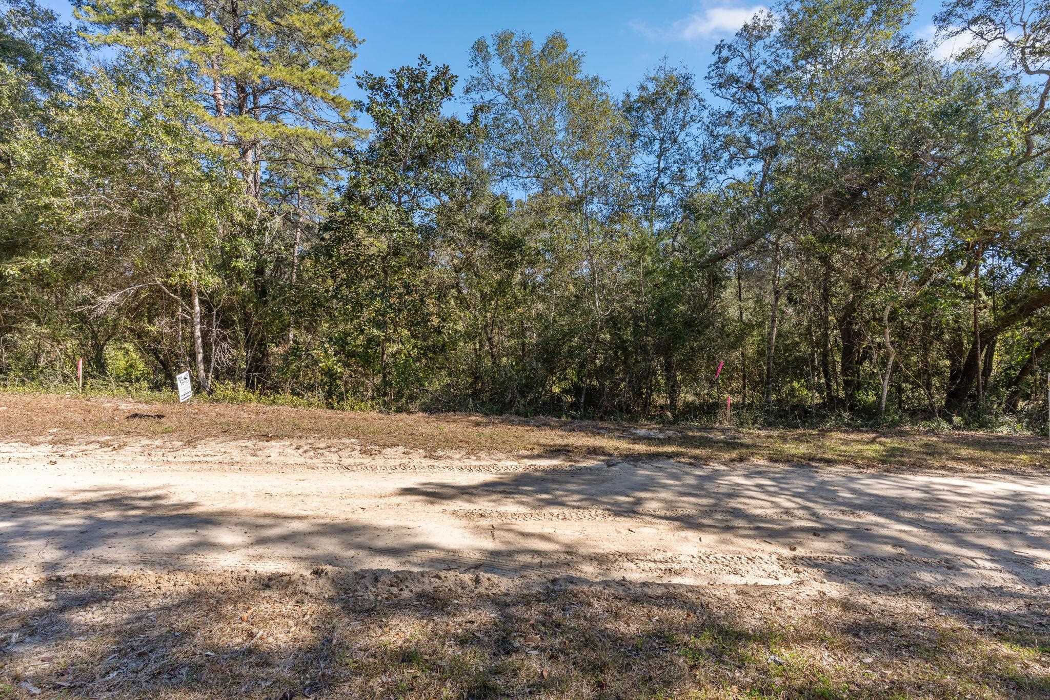 139 Iowa Street Carrabelle, FL 32322 - Photo 16 of 17