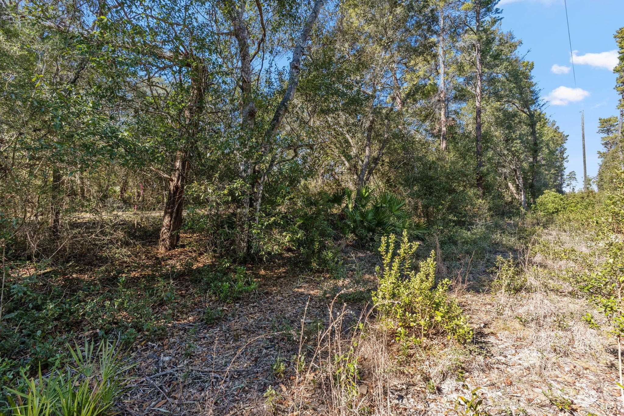 139 Iowa Street Carrabelle, FL 32322 - Photo 5 of 17