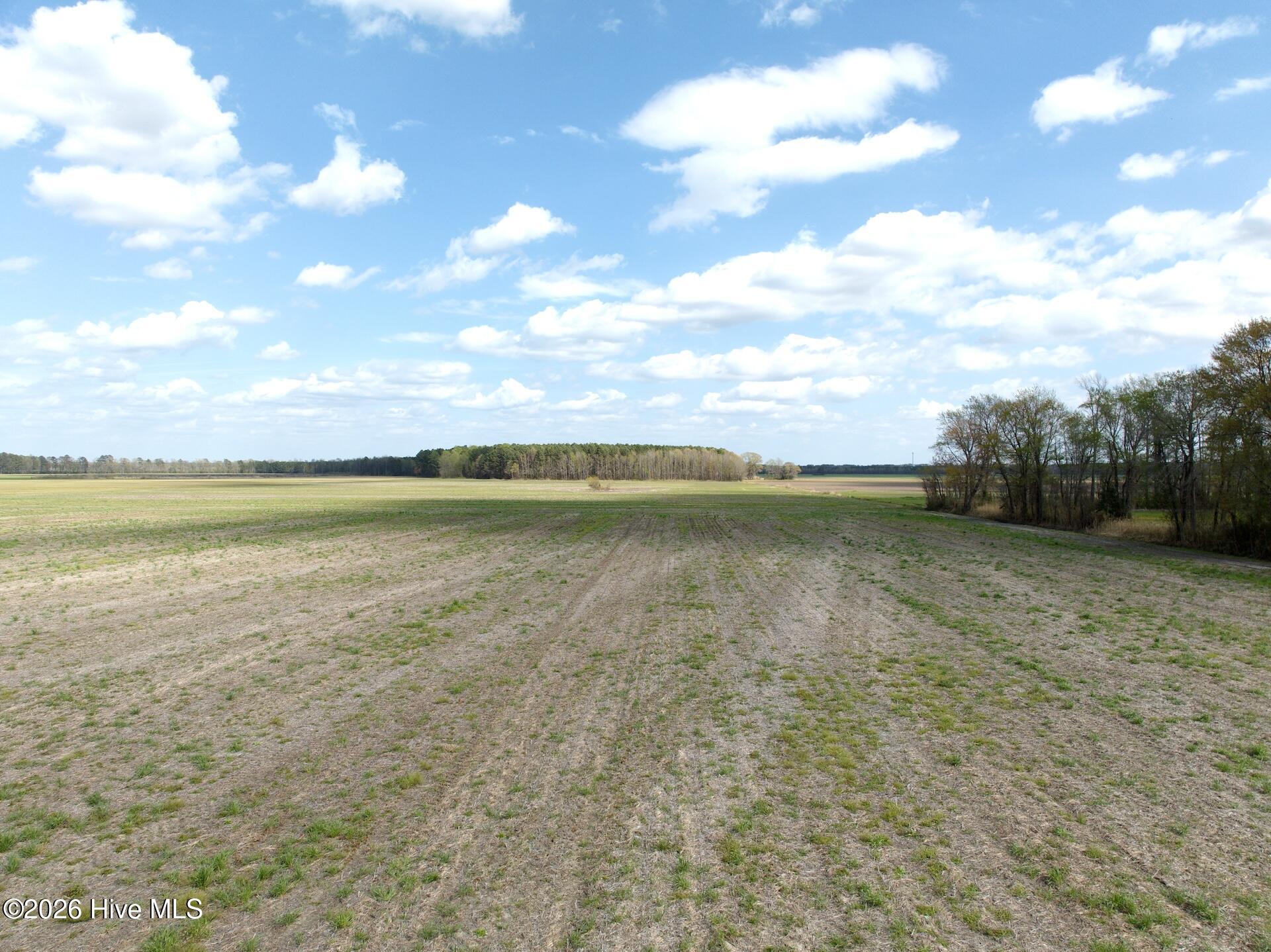 0 Middle Swamp Road Gates, NC 27937 - Photo 2 of 25 1