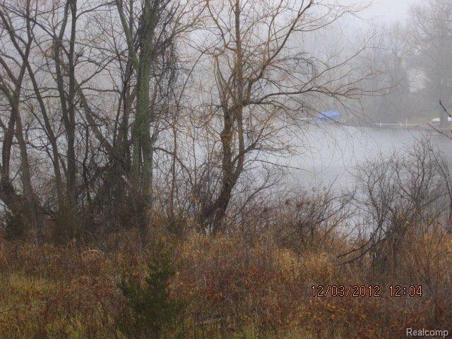 0 North Fenton Road Fenton, MI 48430 - Photo 12 of 14 N Fenton VL (5).JPG