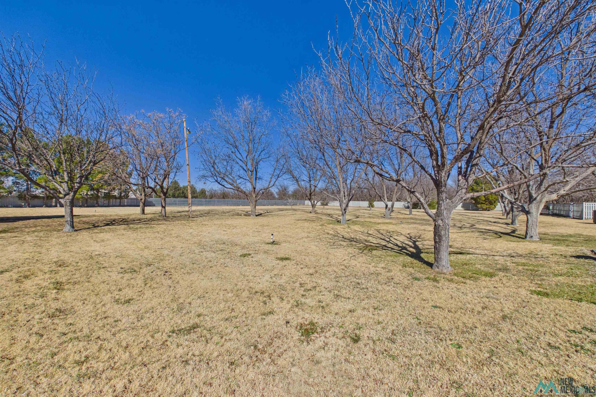2806 West Country Club Road Roswell, NM 88201 - Photo 72 of 97 Gallery Image 72