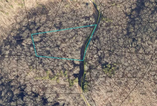 a view of a backyard with large trees