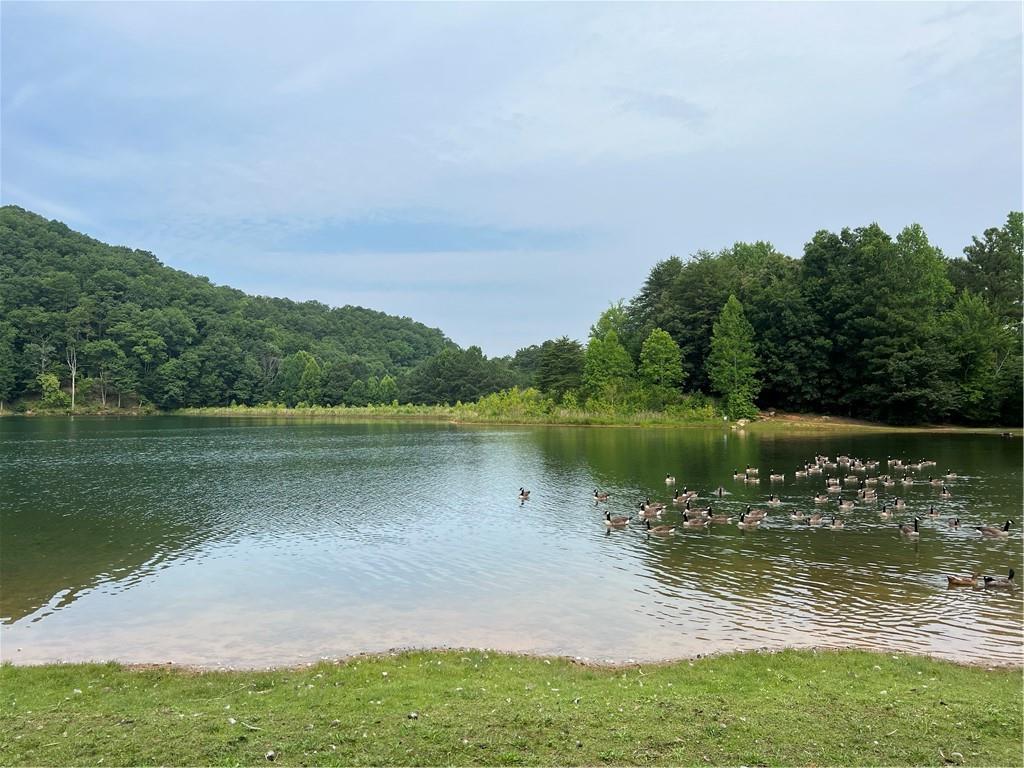197 Stirratt Road Ranger, GA 30734 - Photo 11 of 22 a view of a lake view