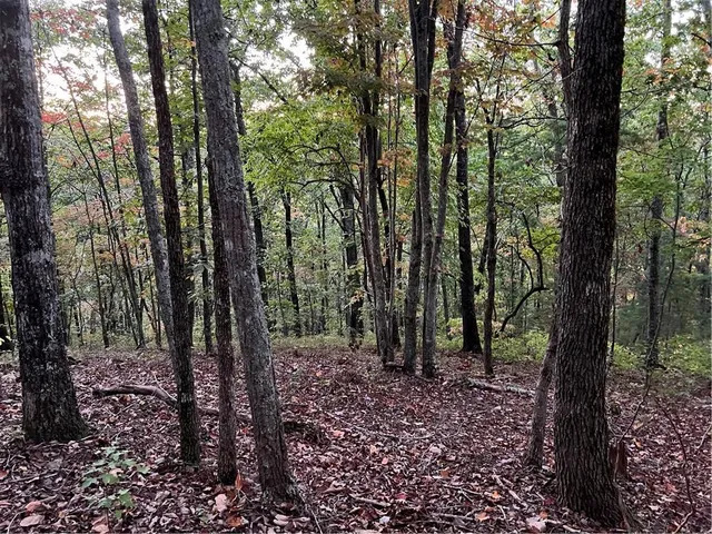 a sign that is on a pole