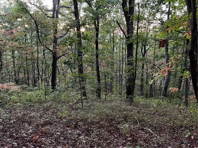 a view of a lake view