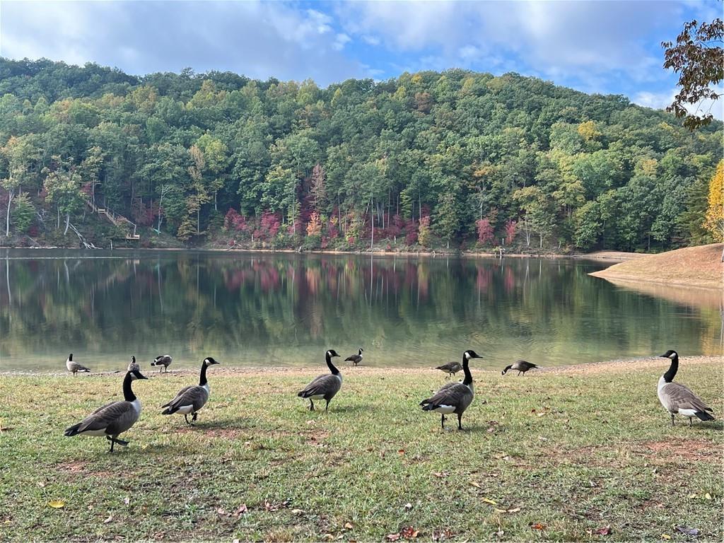 197 Stirratt Road Ranger, GA 30734 - Photo 13 of 22 a view of a lake