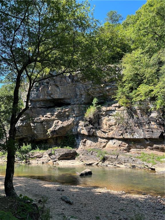 197 Stirratt Road Ranger, GA 30734 - Photo 16 of 22 a view of water with large tree