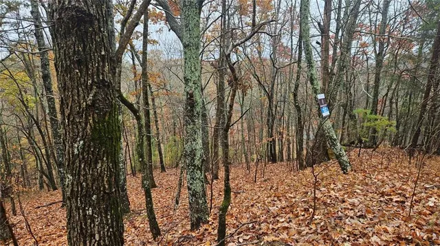 a view of covered with trees