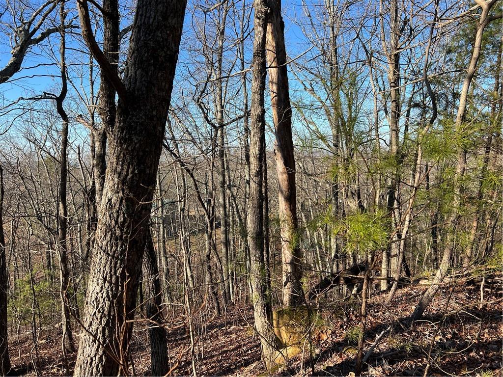 197 Stirratt Road Ranger, GA 30734 - Photo 7 of 22