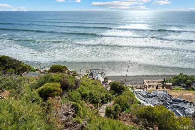 a view of a yard with plants
