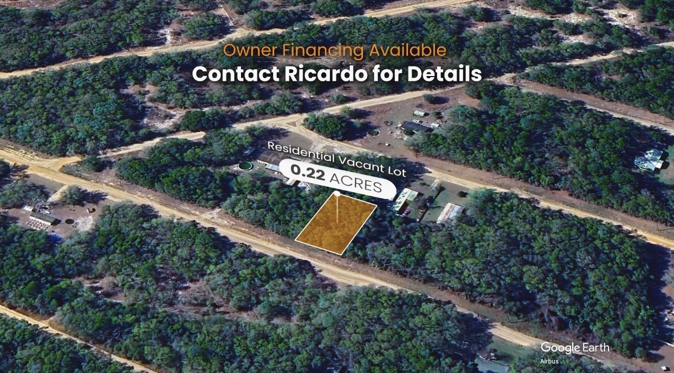 0 Wilson Drive Interlachen, FL 32148 - Photo 6 of 9 IMG_2097