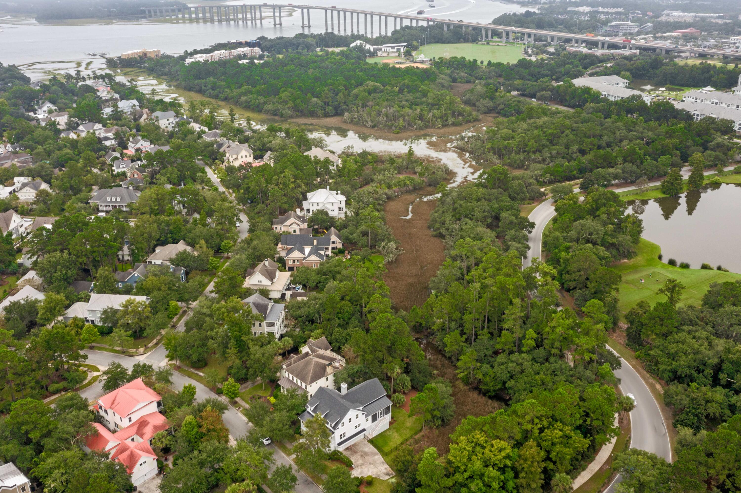 103 Iron Bottom Lane Daniel Island, SC 29492 - Photo 12 of 35 103IronBottom-47