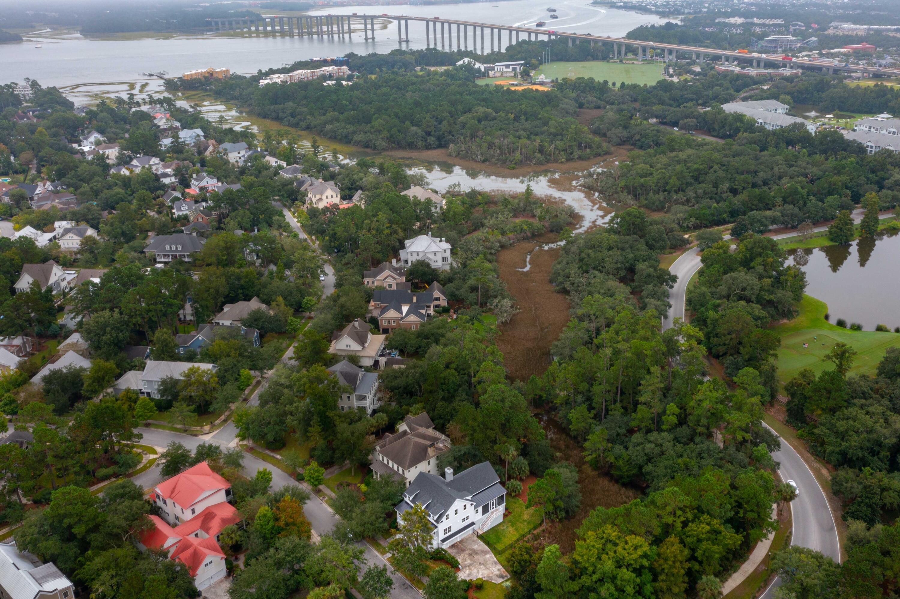 103 Iron Bottom Lane Daniel Island, SC 29492 - Photo 8 of 35 103IronBottom copy